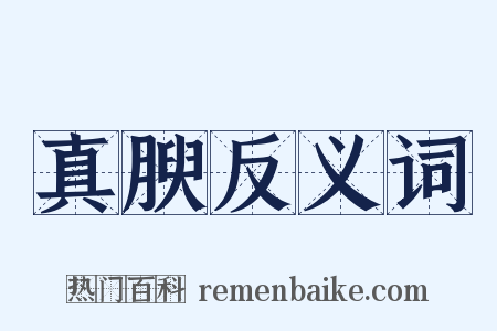 真腴反义词是什么意思的图片